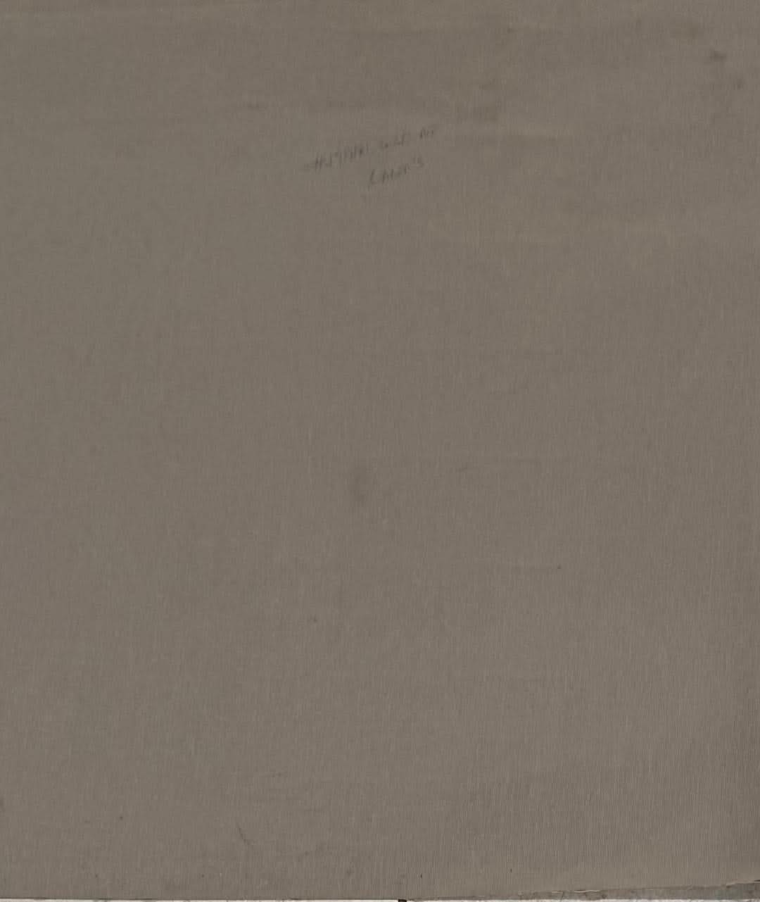 Albott Bonhomme 24"x20" Bird Trio 2025 Acrylic on Canvas Unframed Painting #59MFN