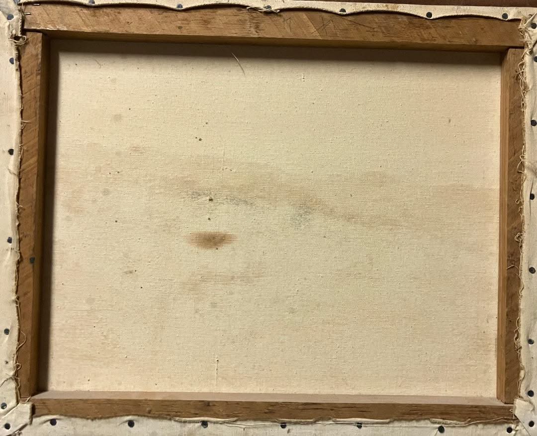 Louverture Poisson Haiti Mountains Back