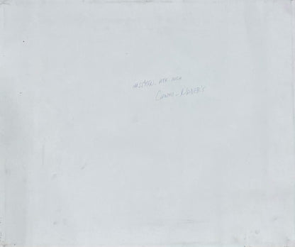 Albott Bonhomme back painting #55MFN