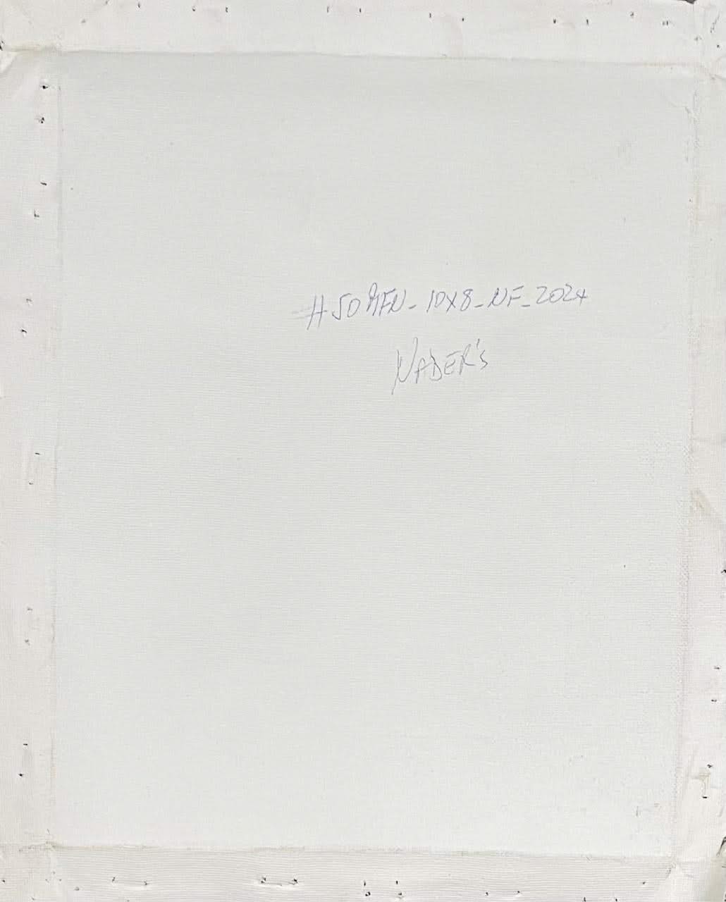 Albott Bonhomme back painting #50MFN