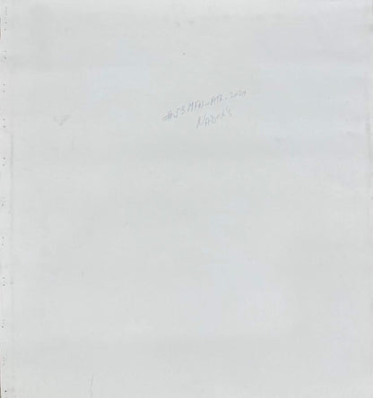 Albott Bonhomme Back painting #53MFN