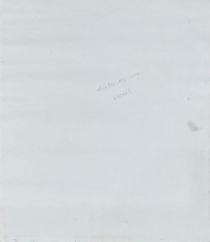 Albott Bonhomme back painting #54MFN