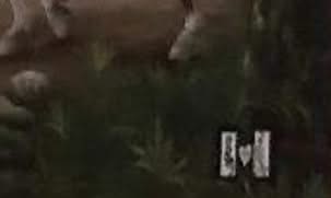 Henry Jehovah 24"x36" Henri Christophe & His Wife in their Carriage c1980 Oil on Canvas Framed Painting-Published in the Book "La Rencontre Des 2 Mondes" by Jean-Marie Drot #1GSN-NY