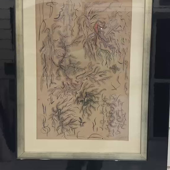 Video of Lucien Price