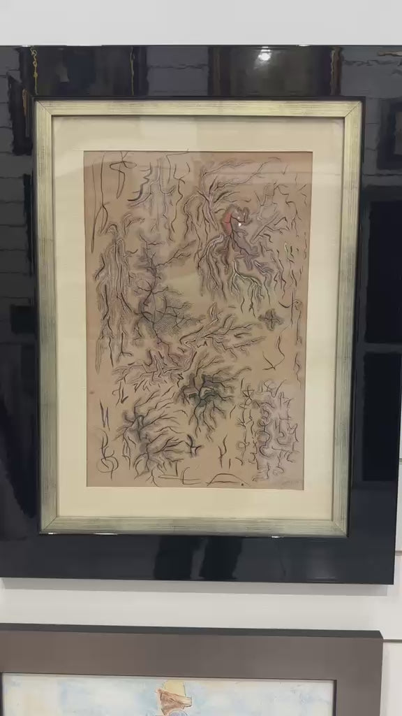 Video of Lucien Price