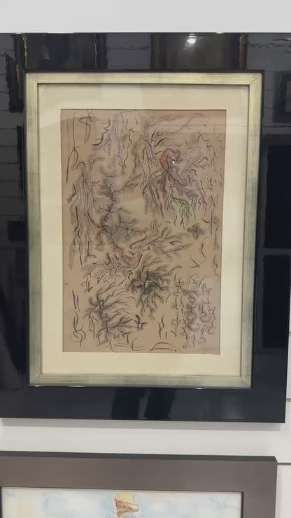 Video of Lucien Price