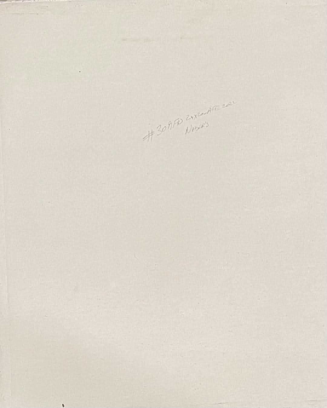 Albott Bonhomme 24"x20" Deep Forest With Birds & Cascade 2022 Acrylic on Canvas Painting#30MFN