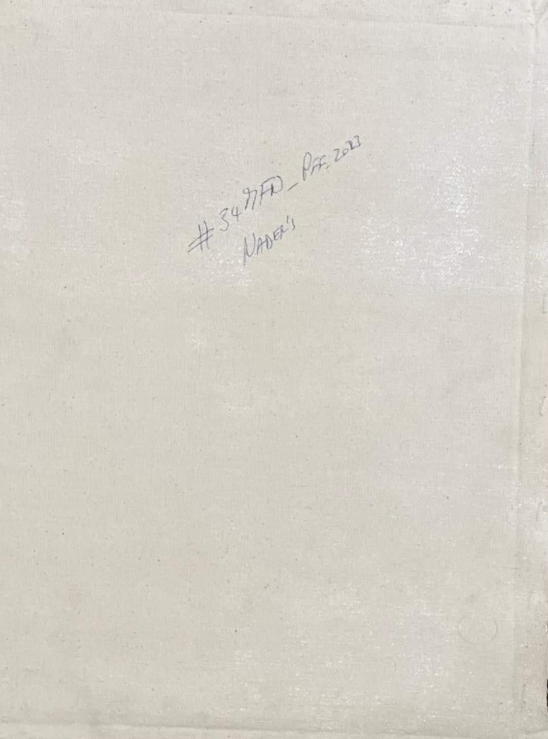 Albott Bonhomme 16"x12" Two Blue Birds, Trees & Cascade 2023 Acrylic on Canvas Painting #34A-MFN