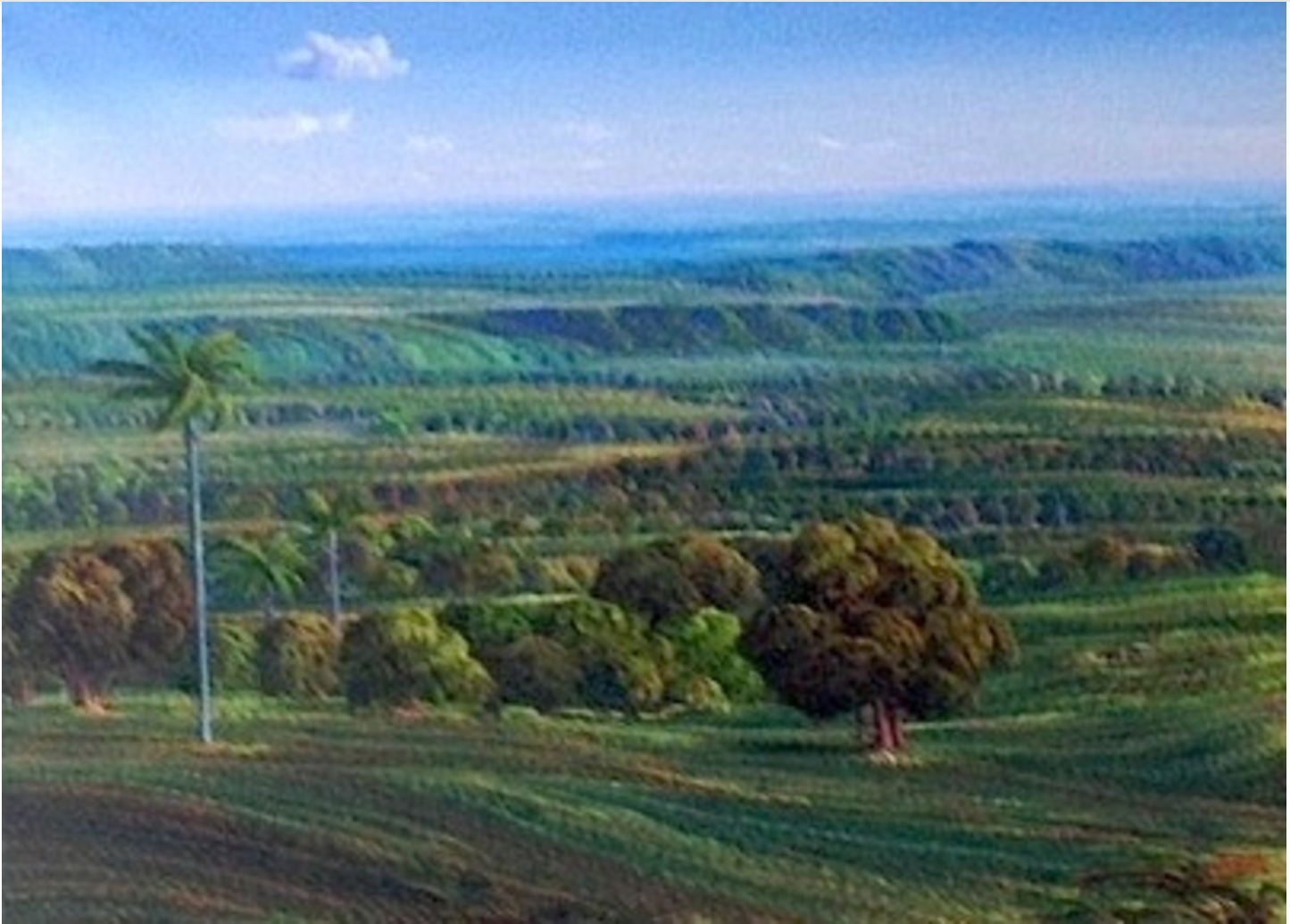 Jean-Adrien Seide 36"x50" Landscape Acrylic on Canvas #J62-HA