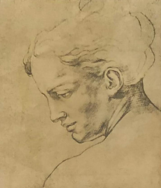 Unknown Artist 15"x13" Lady Profile Ink Drawing on Paper Framed Under Glass #2FC